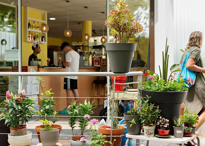 Cruce De Caminos Arzua